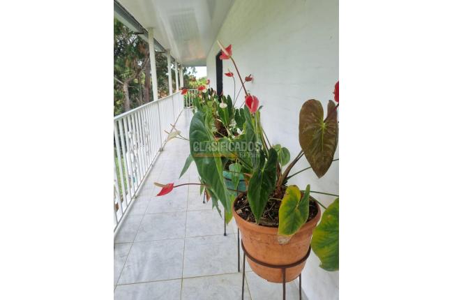 Fincas y Casas Campestres, Venta en Dagua