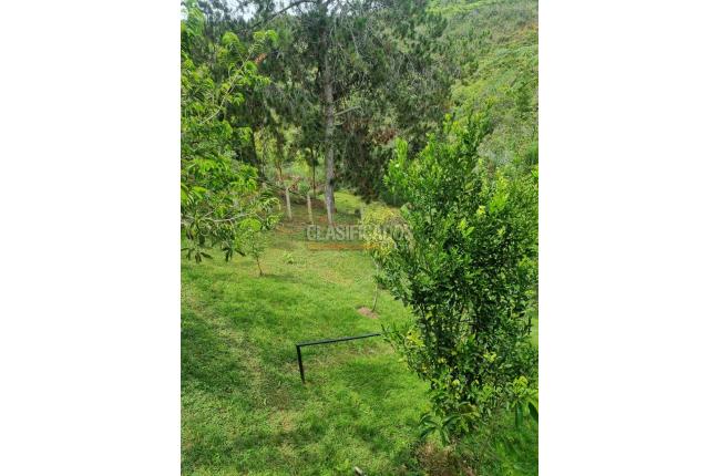 Fincas y Casas Campestres, Venta, Dagua - $420.000.000