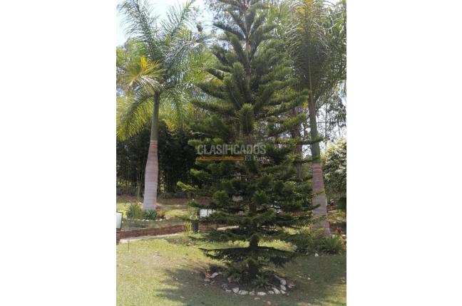 Fincas y Casas Campestres, Venta, Dagua - $450.000.000