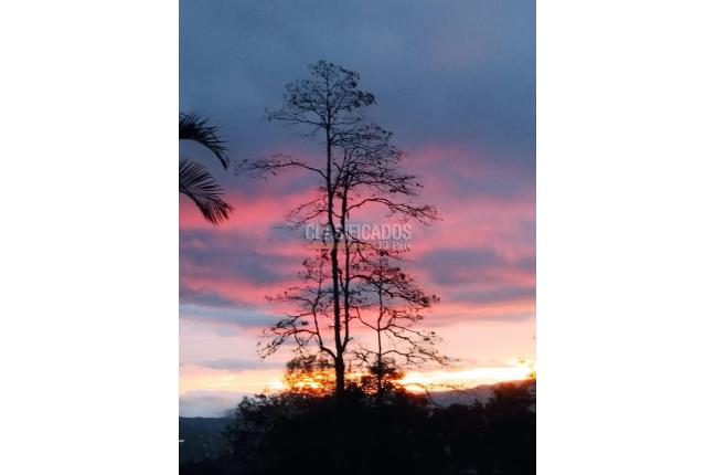 Fincas y Casas Campestres, Venta, Dagua - $1.650.000.000