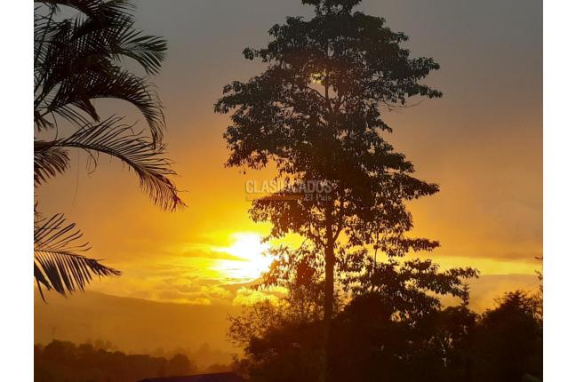 Fincas y Casas Campestres, Venta, Dagua - $1.650.000.000