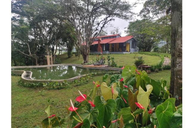 Fincas y Casas Campestres, Venta, Dapa - $1.350.000.000