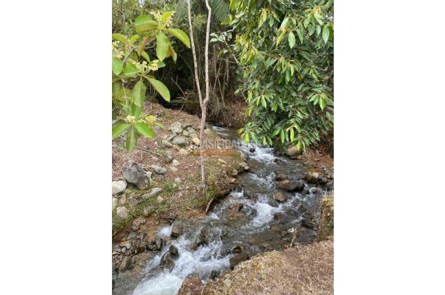 Casas, Venta, Calima (Darién) - $2.500.000.000