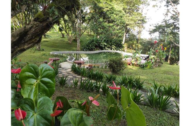 Fincas y Casas Campestres, Venta, Dapa - $1.350.000.000