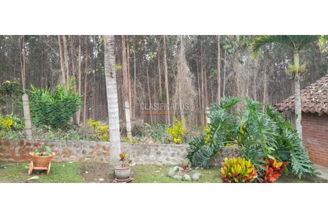 Fincas y Casas Campestres, Venta, Dagua - $1.100.000.000