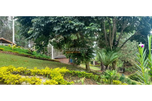 Fincas y Casas Campestres, Venta, Dagua - $1.100.000.000