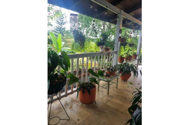 Fincas y Casas Campestres, Venta, Dagua - $850.000.000