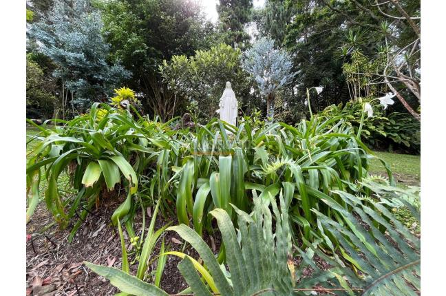 Fincas y Casas Campestres, Alquiler, Dapa - $6.800.000