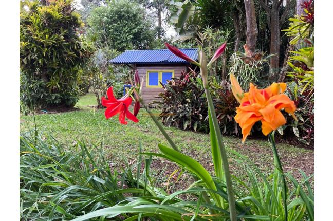 Fincas y Casas Campestres, Alquiler, Dapa - $6.800.000