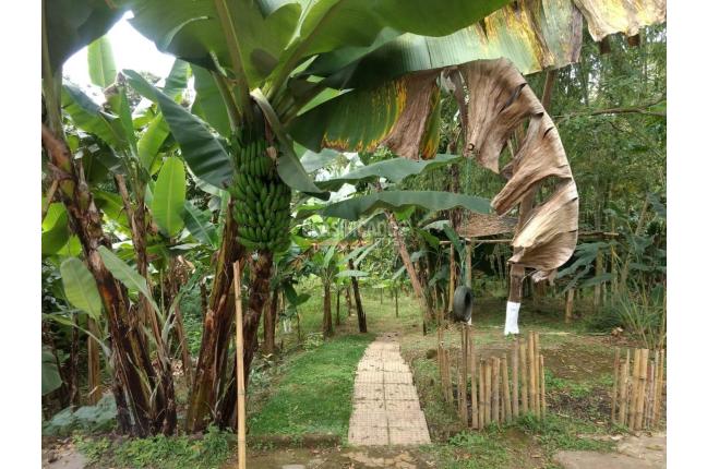 Fincas y Casas Campestres, Venta, La Cumbre - $320.000.000