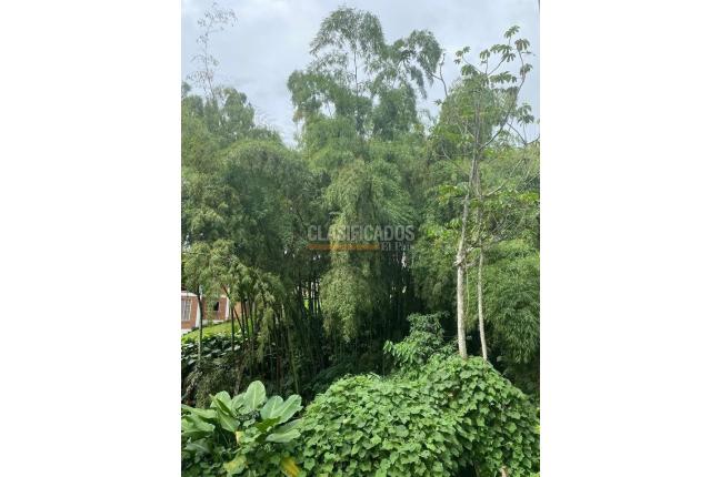 Apartamentos, Venta, Dos Quebradas - $235.000.000