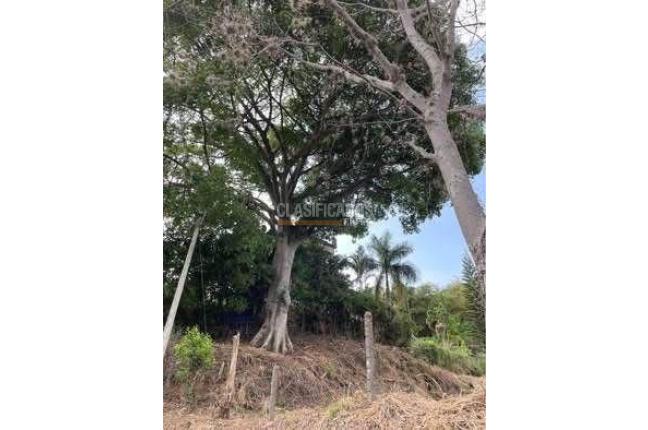 Lotes, Venta, Cristo Rey - $460.000.000