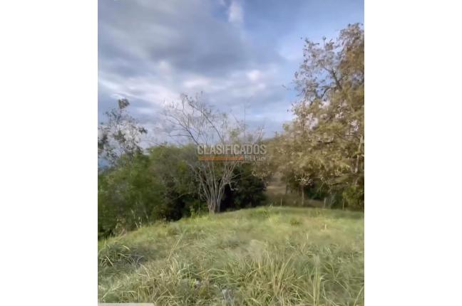 Lotes, Venta en Buga