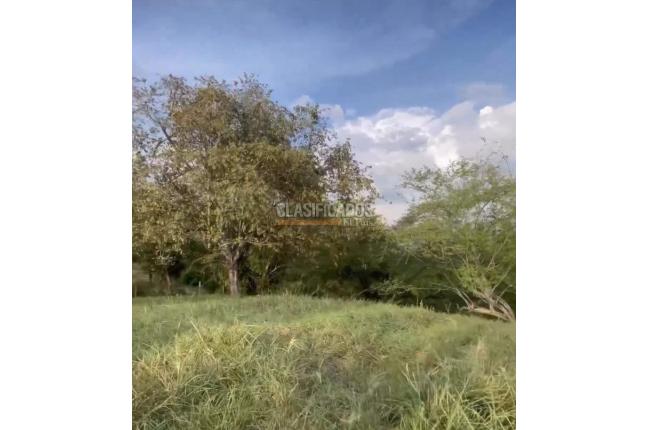 Lotes, Venta en Buga