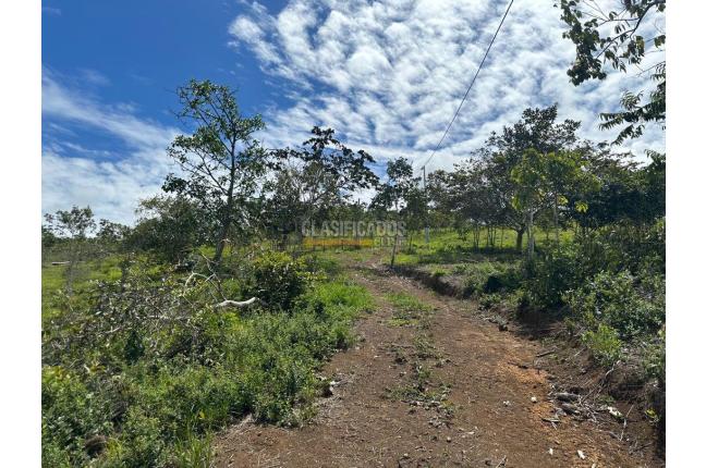 Lotes, Venta, La Cumbre - $110.000.000