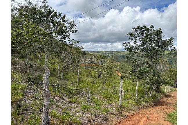 Lotes, Venta, La Cumbre - $110.000.000