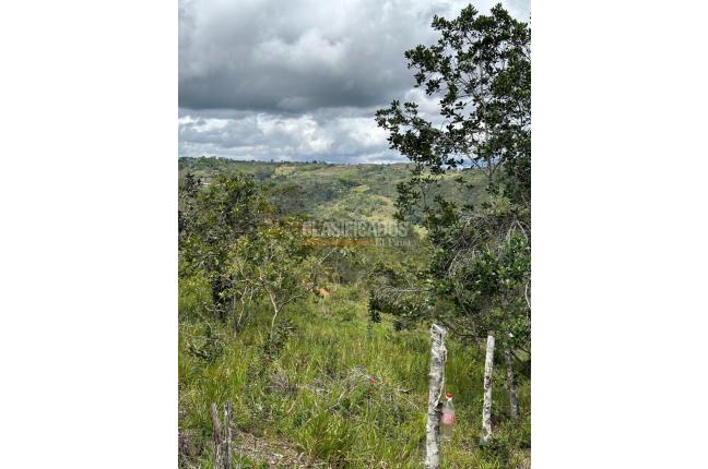 Lotes, Venta, La Cumbre - $110.000.000