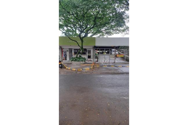 Apartamentos, Alquiler en Camino Real