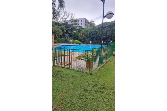 Apartamentos, Alquiler en Camino Real