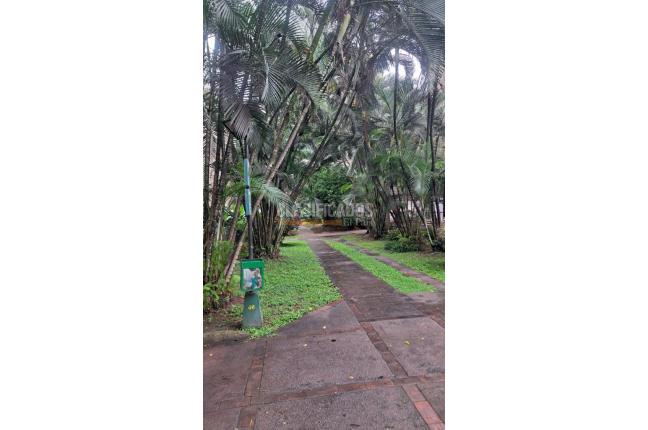 Apartamentos, Alquiler, Camino Real - $1.950.000