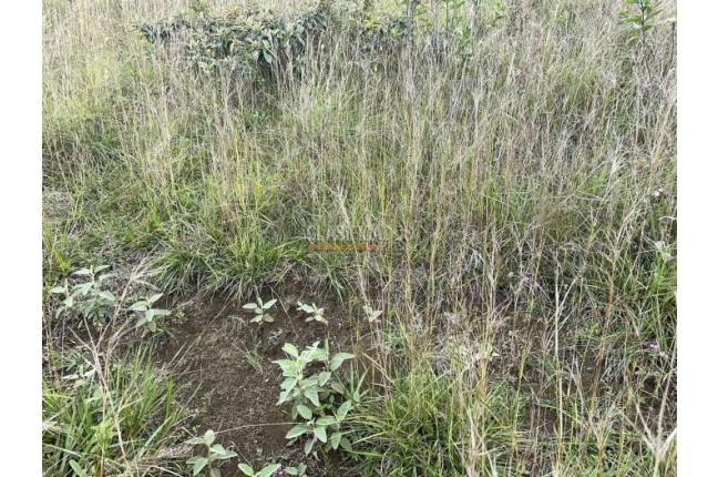 Lotes, Venta, Jamundí - $115.000.000