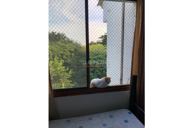 Apartamentos, Venta, Las Quintas de Don Simón - $310.000.000