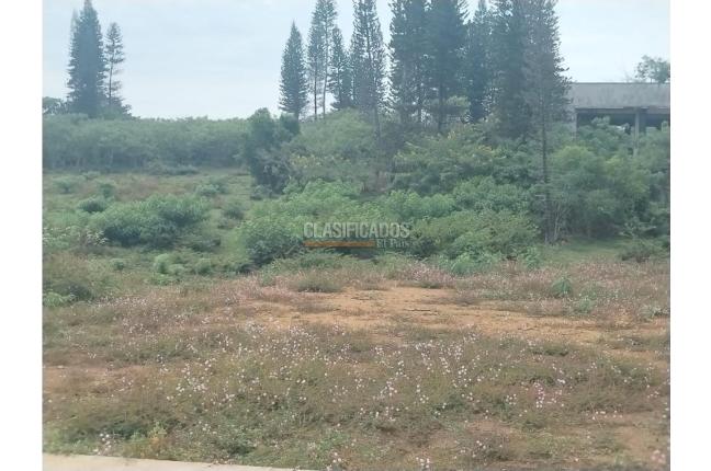 Lotes, Venta en Ciudad Jardín