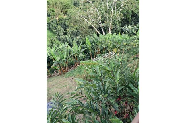 Fincas y Casas Campestres, Venta, Yotoco - $1.050.000.000