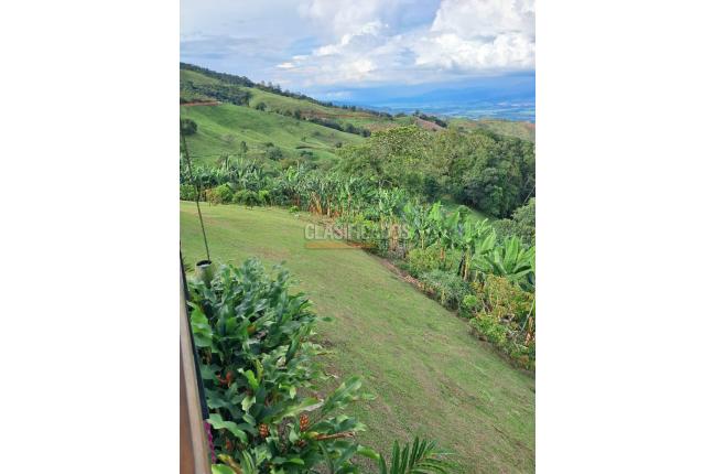 Fincas y Casas Campestres, Venta, Yotoco - $1.050.000.000