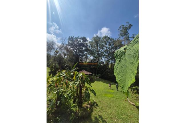 Fincas y Casas Campestres, Venta, Dagua - $730.000.000