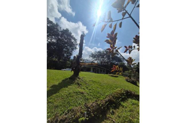 Fincas y Casas Campestres, Venta, Dagua - $730.000.000