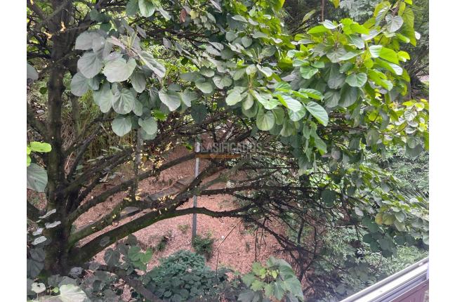 Apartaestudios, Alquiler, El Peñón - $2.500.000