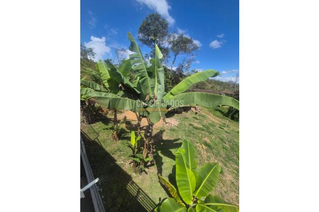 Fincas y Casas Campestres, Venta en Dagua