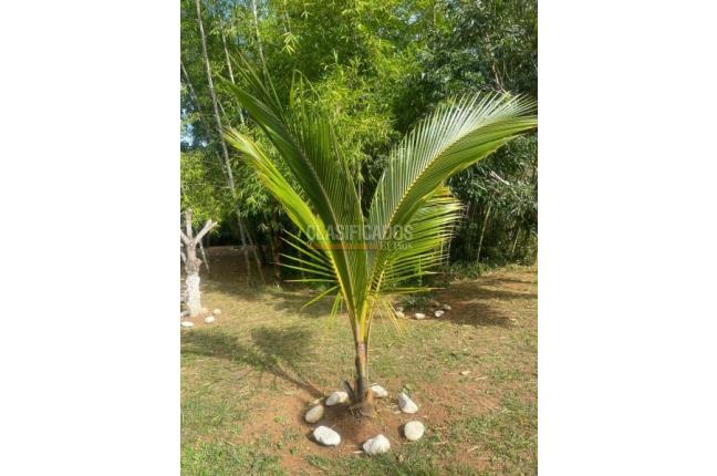 Fincas y Casas Campestres, Venta en La Cumbre