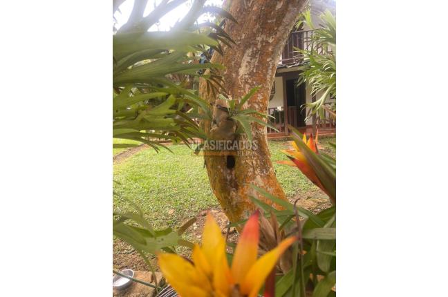 Fincas y Casas Campestres, Venta, La Cumbre - $320.000.000