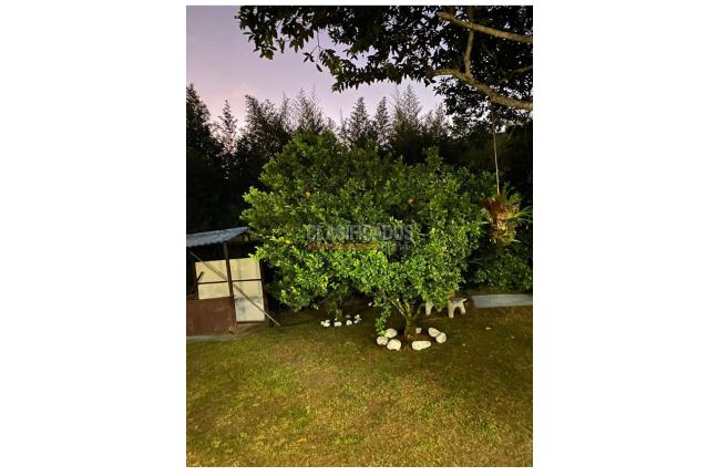 Fincas y Casas Campestres, Venta, La Cumbre - $320.000.000