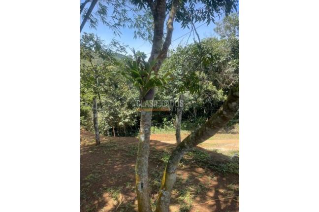 Fincas y Casas Campestres, Venta, La Cumbre - $320.000.000