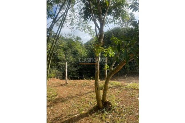 Fincas y Casas Campestres, Venta, La Cumbre - $320.000.000