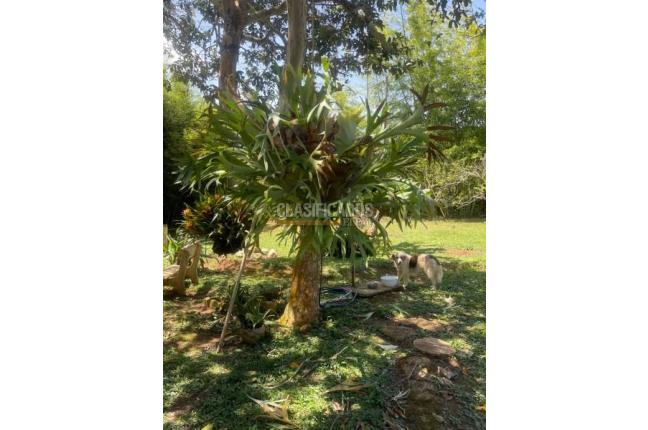 Fincas y Casas Campestres, Venta, La Cumbre - $320.000.000