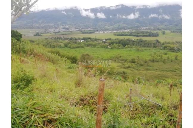 Fincas y Casas Campestres, Venta, Calima (Darién) - $2.500.000.000