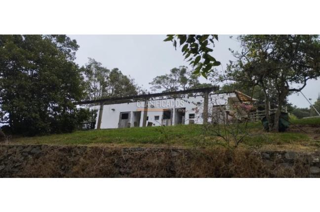 Fincas y Casas Campestres, Venta, Yumbo - $1.400.000.000