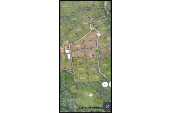 Lotes, Venta, Ginebra - $95.000.000