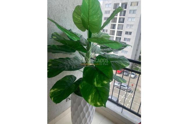 Apartamentos, Venta, Hacienda Kachipay - $230.000.000