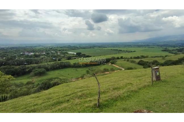 Lotes, Venta en Palmira