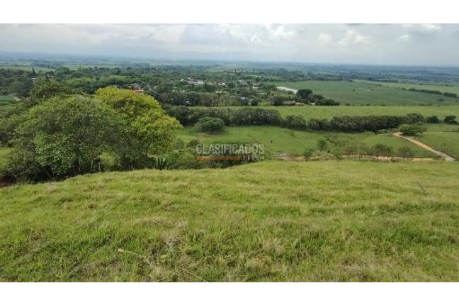 Lotes, Venta en Palmira