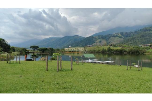 Lotes, Venta, Palmira - $450.000.000