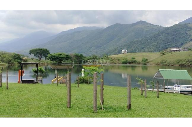 Lotes, Venta, Palmira - $450.000.000