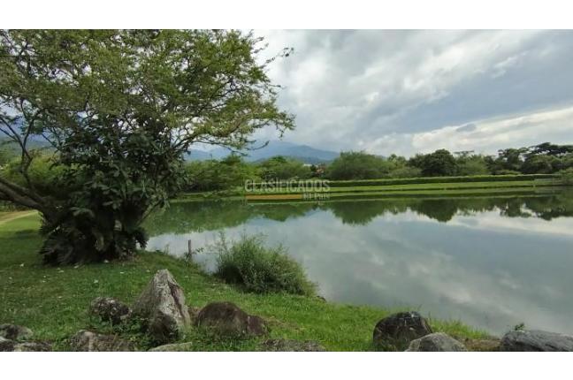 Lotes, Venta, Palmira - $450.000.000