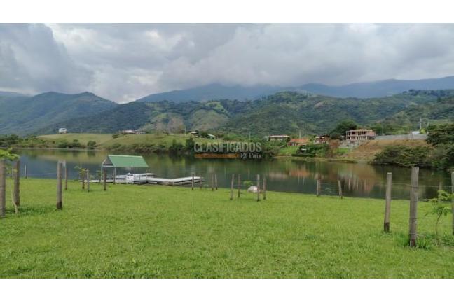 Lotes, Venta, Palmira - $450.000.000