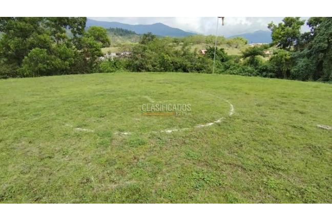 Lotes, Venta, Palmira - $450.000.000